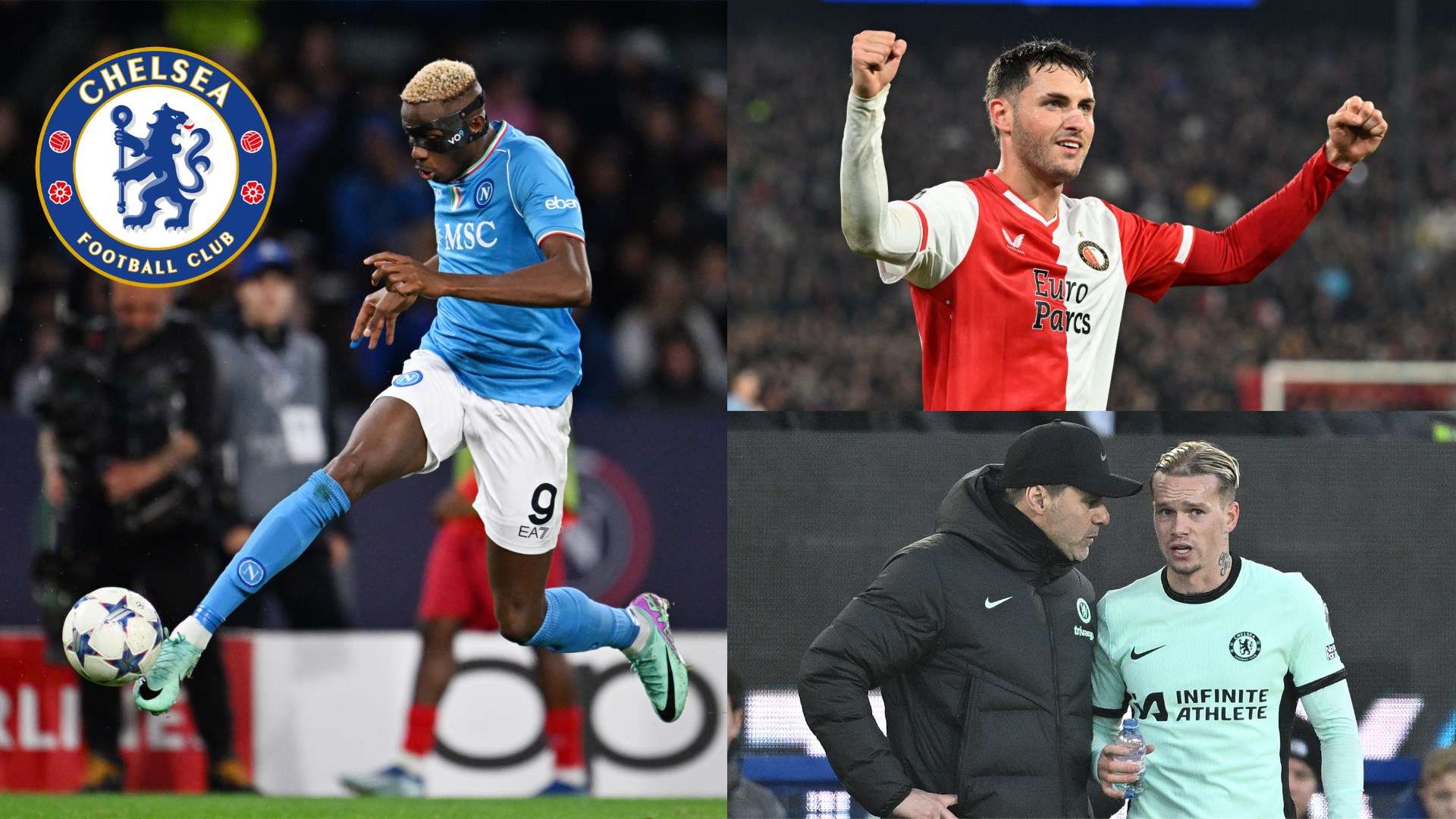 这一评价引 这一评价引