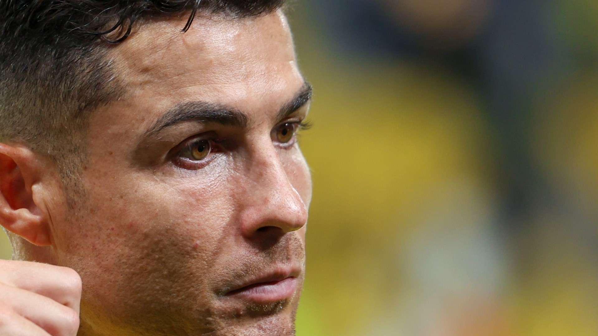 度引领一次 度引领一次