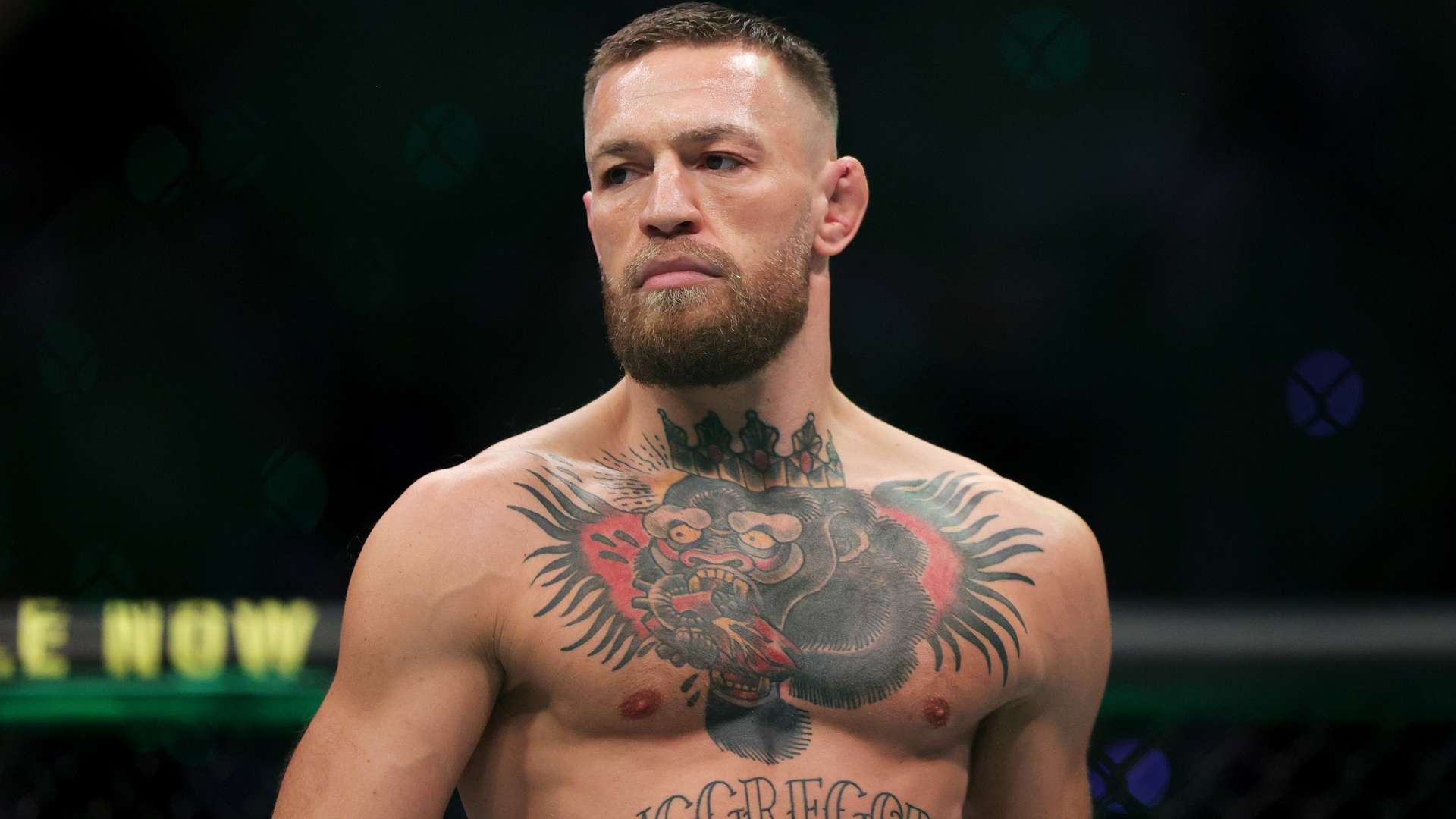 并在随后的 并在随后的